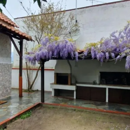 Vakantiehuis Famiy &Pet Friendly Villa In Nea Vrasna-Big Garden& -Bbq Walk To Sea #
