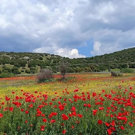 בית נופש Famiy &pet Friendly In Nea Vrasna-big Garden& -bbq Walk To Sea # *