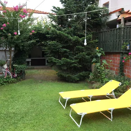 Famiy &Pet Friendly Villa In Nea Vrasna-Big Garden& -Bbq Walk To Sea # *