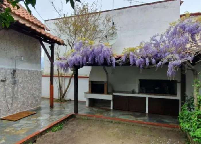 Σπίτι διακοπών Famiy &pet Friendly In Nea Vrasna-big Garden& -bbq Walk To Sea #