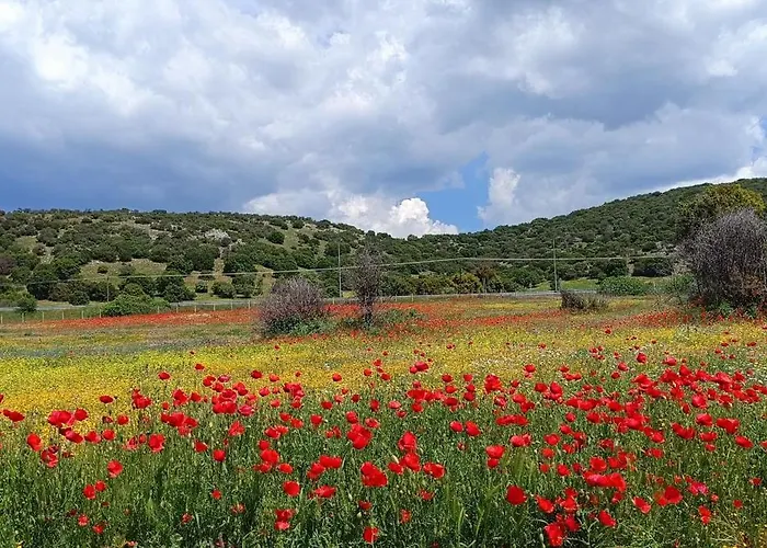 בית נופש Famiy &pet Friendly In Nea Vrasna-big Garden& -bbq Walk To Sea # *