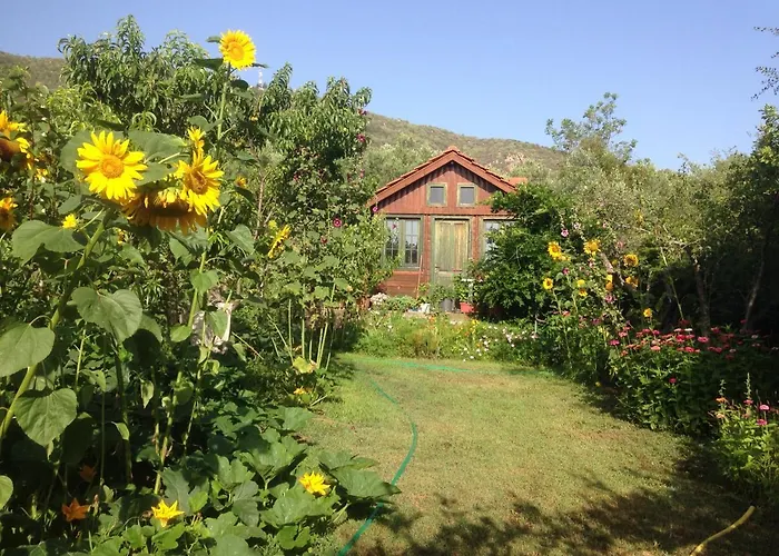 Famiy &pet Friendly In Nea Vrasna-big Garden& -bbq Walk To Sea #