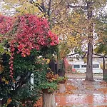 Tatil Evi Famiy &pet Friendly In Nea Vrasna-big Garden& -bbq Walk To Sea # *