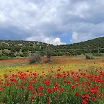 Tatil Evi Famiy &pet Friendly In Nea Vrasna-big Garden& -bbq Walk To Sea # *