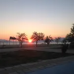 Tatil Evi Famiy &pet Friendly In Nea Vrasna-big Garden& -bbq Walk To Sea # *
