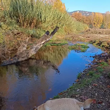 Afroditi Holiday home