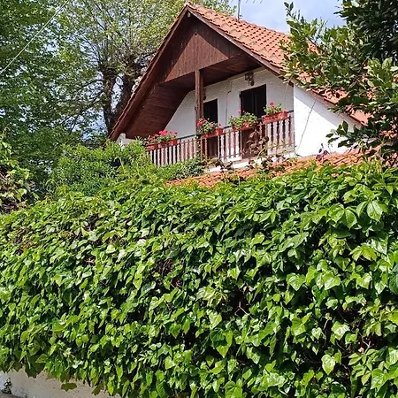 Famiy &pet Friendly In Nea Vrasna-big Garden& -bbq Walk To Sea # Tatil Evi Vrasná