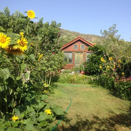 Famiy &Pet Friendly Villa In Nea Vrasna-Big Garden& -Bbq Walk To Sea #